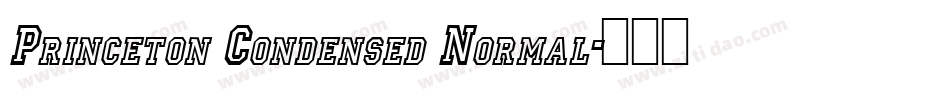Princeton Condensed Normal字体转换